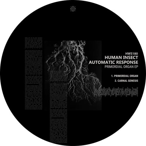 Primordial Organ EP