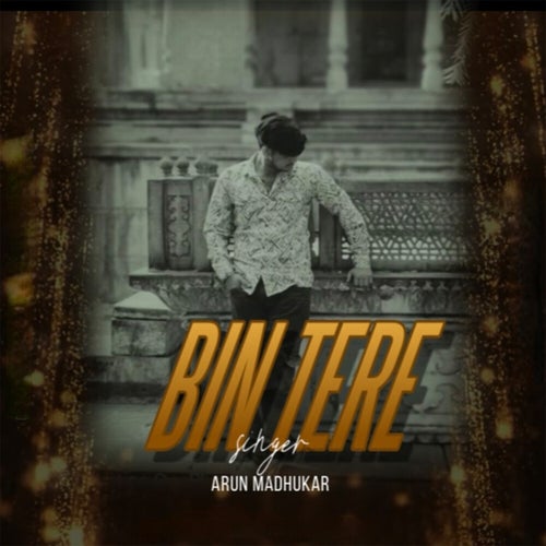 Bin Tere