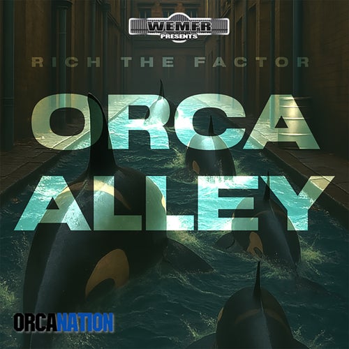 Orca Alley