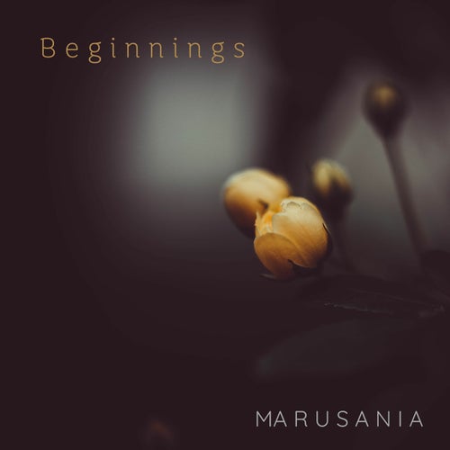 Beginnings