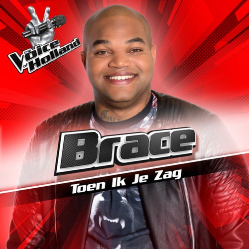 Toen Ik Je Zag (From The Voice Of Holland 6)