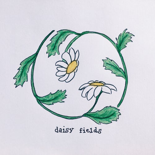 daisy fields