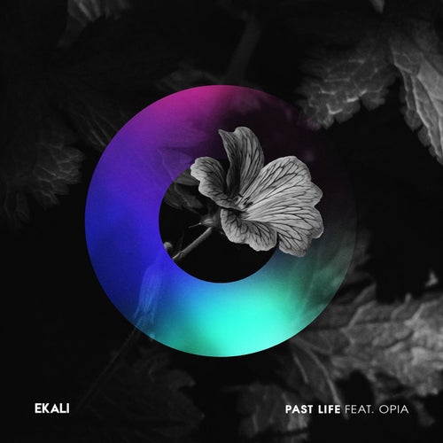 Past Life (feat. Opia)