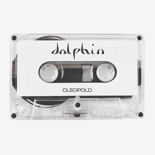 Release of the week