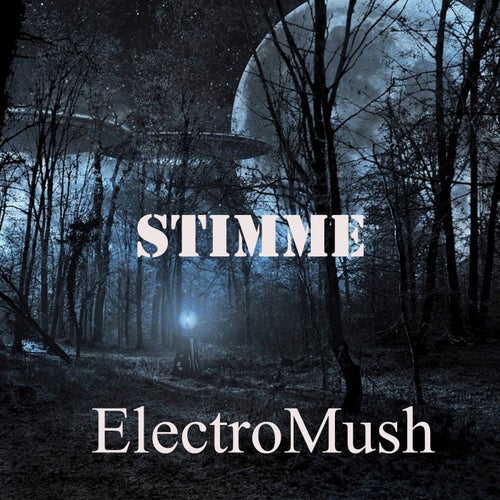 Stimme