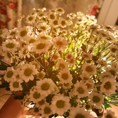 Я умру во вторник утром