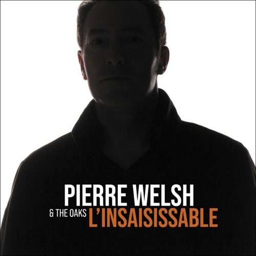 L'insaisissable