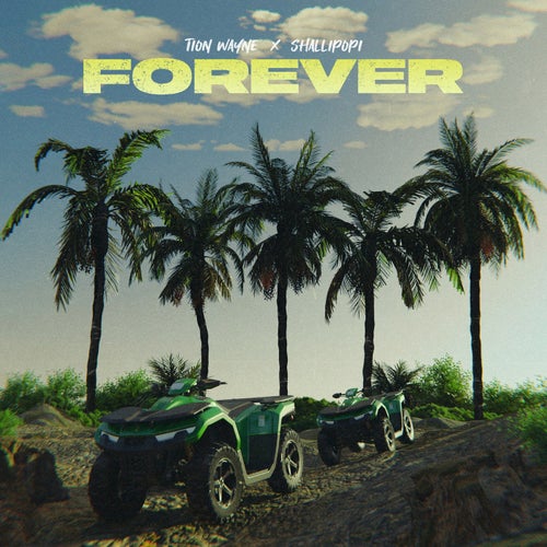 Forever (feat. Shallipopi)