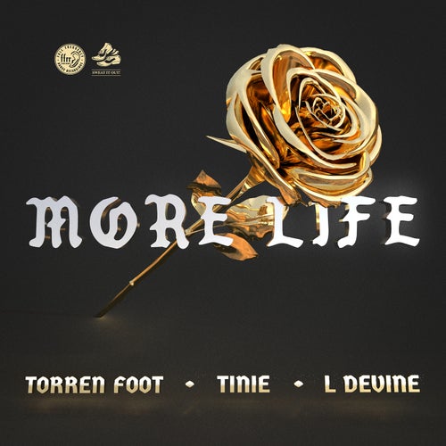 More Life (feat. Tinie Tempah & L Devine) (Extended Mix)