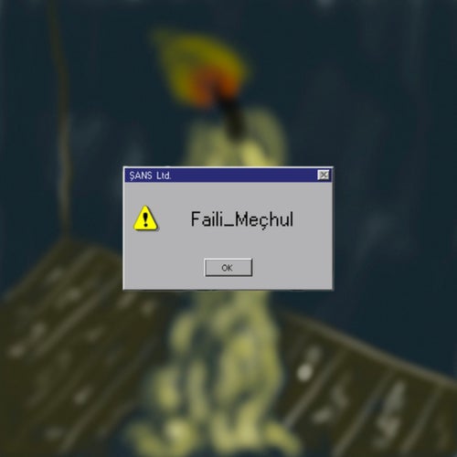 Faili Meçhul