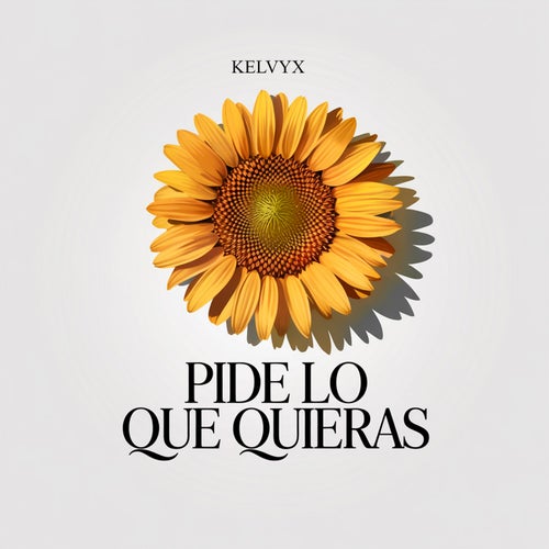 pide lo que quieras