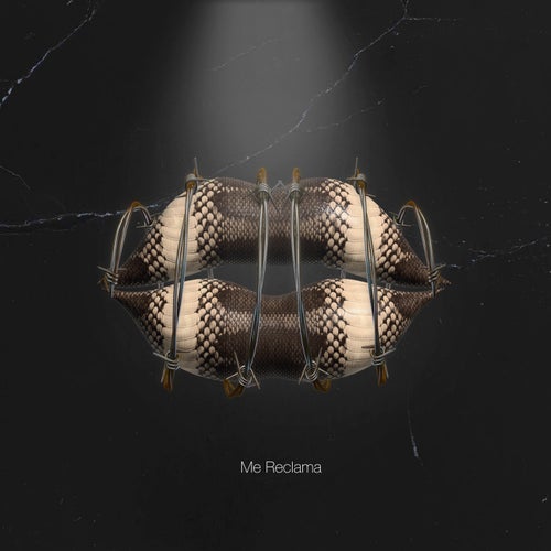 Release of the week