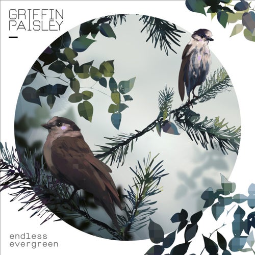 Endless Evergreen