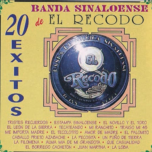 Banda Sinaloense El Recodo Profile