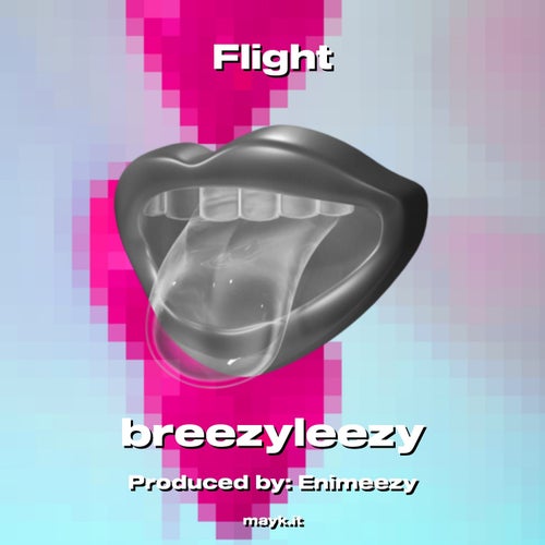 Flight