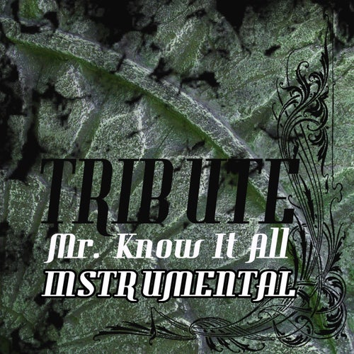 Mr. Know It All (Kelly Clarkson Tribute) - Single Instrumental