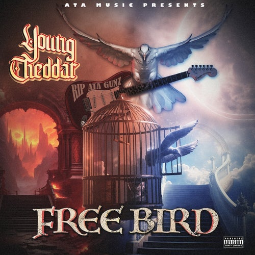 Free Bird