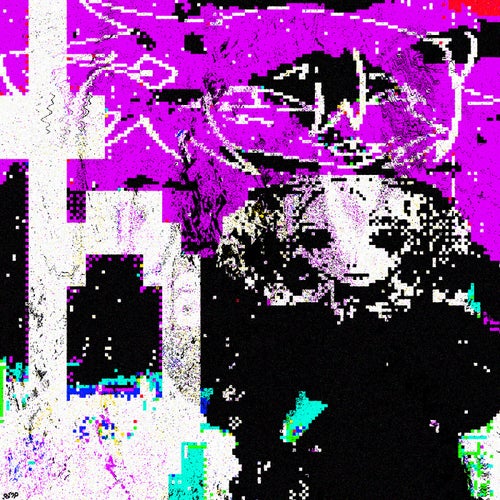 .bmp