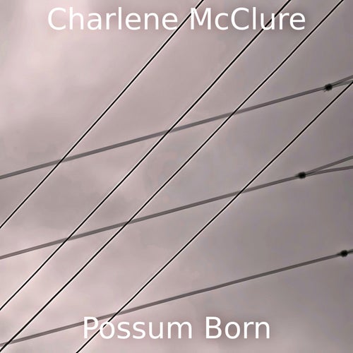 Possum Born