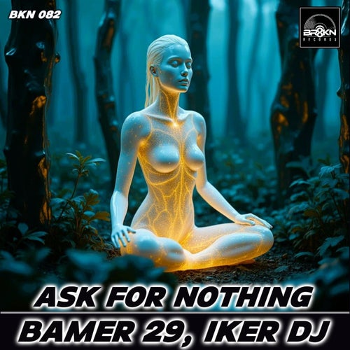 Ask For Nothing (Original Mix)