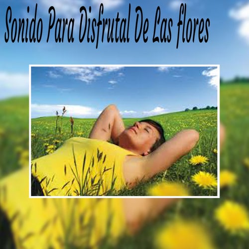 Sonido para Disfrutal de las Flores