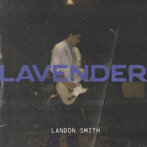 Lavender