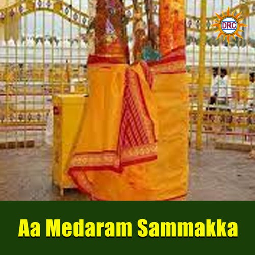 Aa Medaram Sammakka