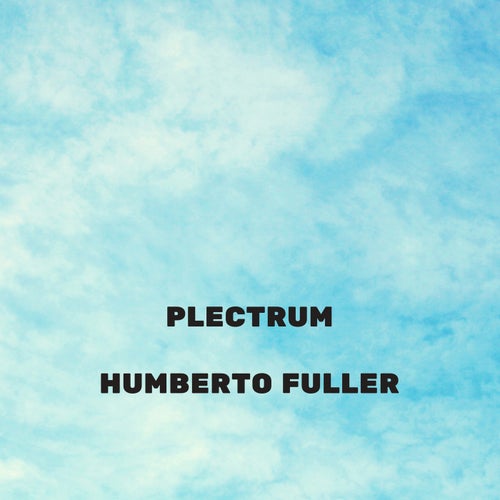 Plectrum