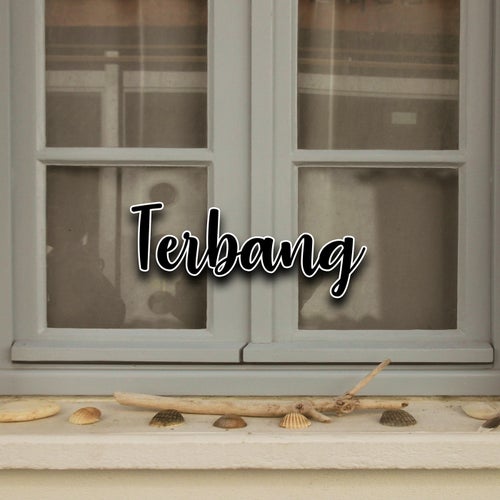 Terbang