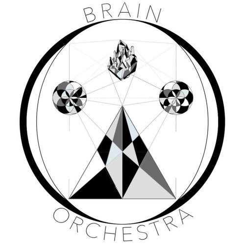 Brainorchestra Profile