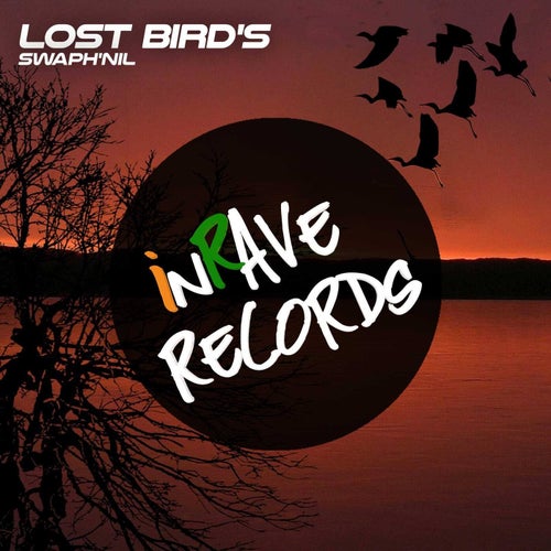 Lost Bird's