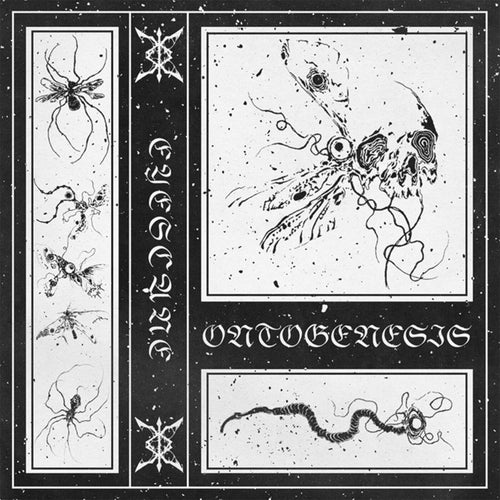 Ontogenesis