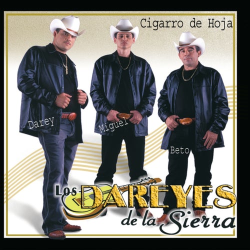 El 24