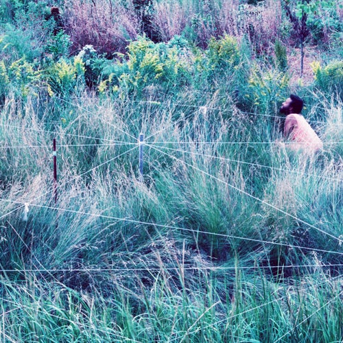 Vesper Sparrow (feat. Haruna Lee, James Harrison Monaco, Ronald Peet, and S T A R R (busby))