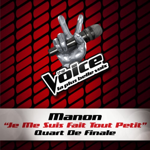 Je Me Suis Fait Tout Petit - The Voice 3