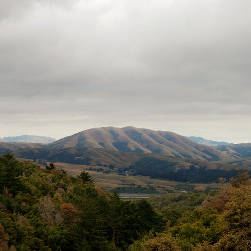 Mount Wittenberg Orca (Expanded Edition)