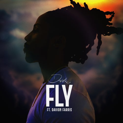 Fly  