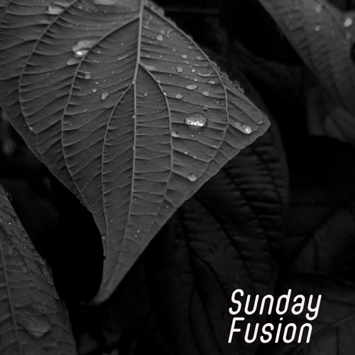 Sunday Fusion