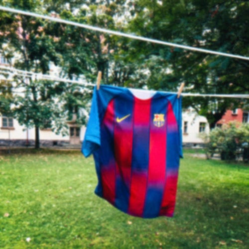 Barcan paita