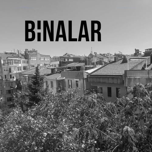 BiNALAR