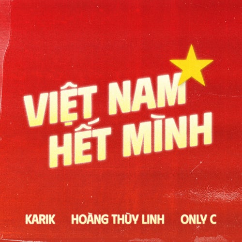 Việt Nam Hết Mình