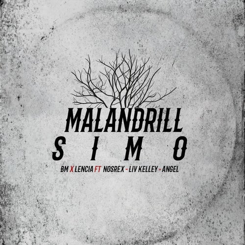 MALANDRILLSIMO