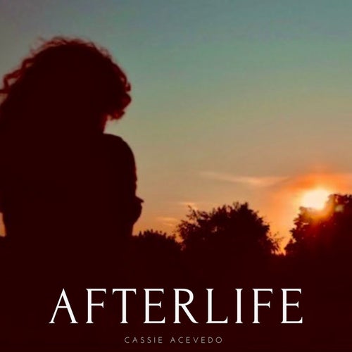 Afterlife