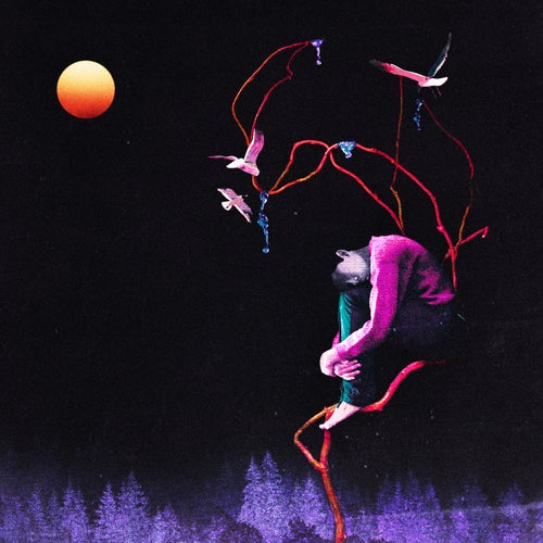 Release of the week