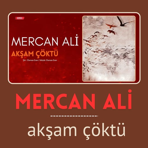 Akşam Çöktü