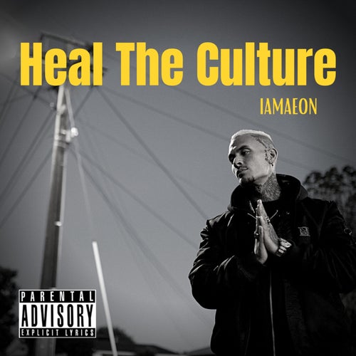 Heal the Culture