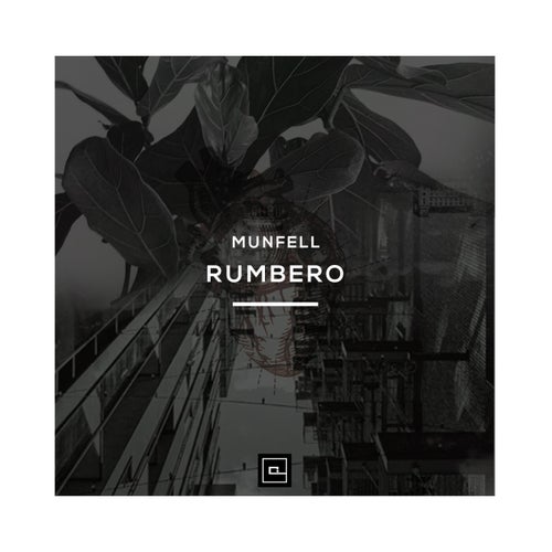 Rumbero