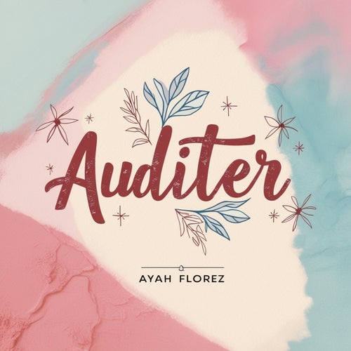 Auditer
