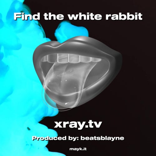Find the white rabbit