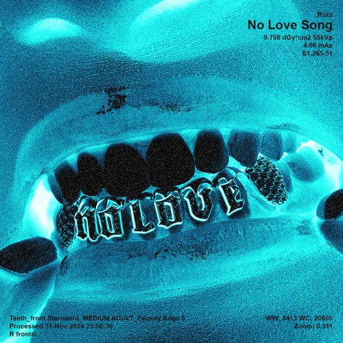 No Love Song